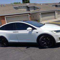 plasti dip