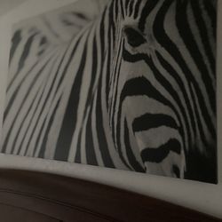 Zebra Print