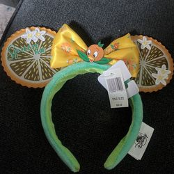 Ear Disney