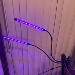 Plant grow lights
