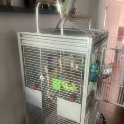 Brand new cage