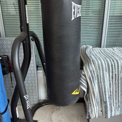 Punching Bag & Stand