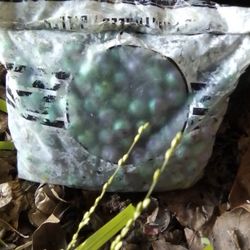 Paint Balls (CLR)-GreeN-