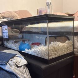 Glass Aquarium / Hamster Tank