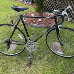 Schwinn World 10 Speed Bicycle 