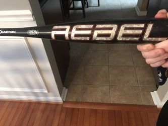 Baseball bat and bag