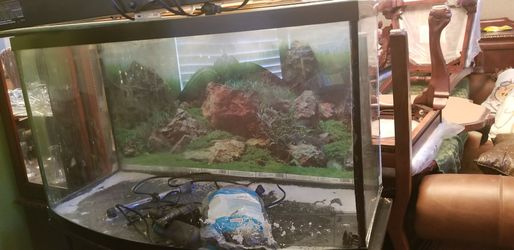 AQUARIUM / FISH TANKS