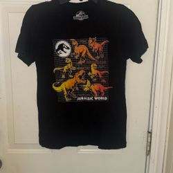 Boys Dinosaur Shirt