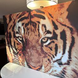 Big Canvas Painting.