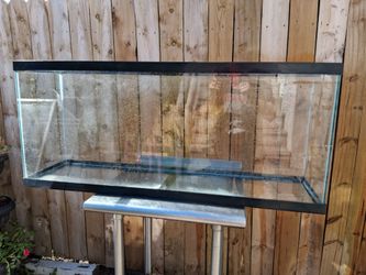 55gal Fish Tank
