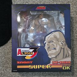 Storm arena bbts special edition sagat