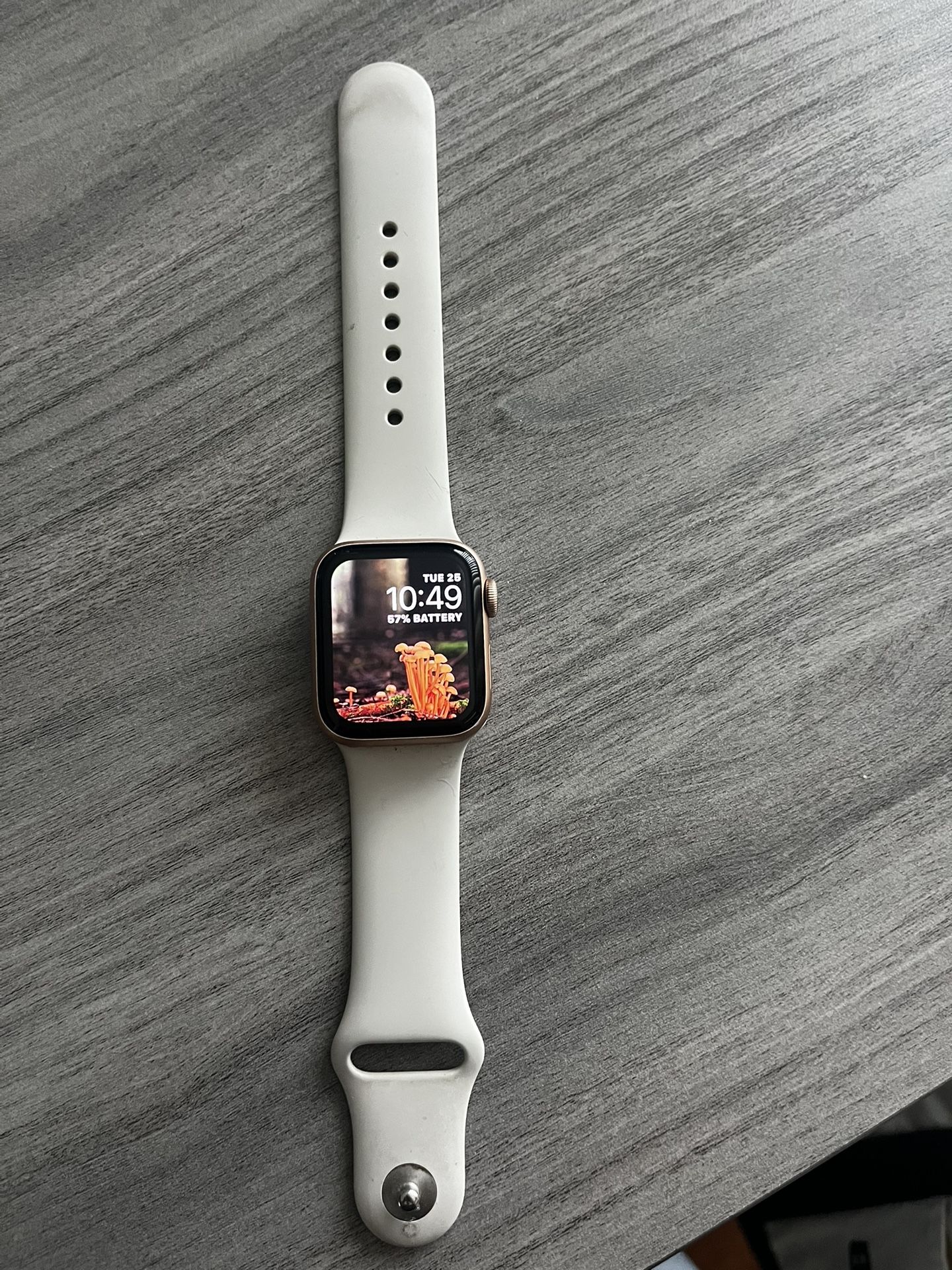 Apple Watch SE