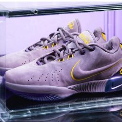 DS Nike Lebron XXI 21 sz13 Freshwater Violet Dust 7 4 8 time machine FV2345 500  Size 10 