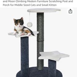 Cat Tree