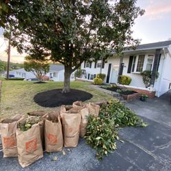 Bush Trimming/mulch/ Tree Pruning/yard Clean Up 