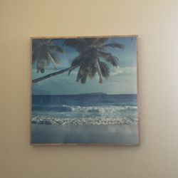 Pottery barn Kelly slater wall hanging