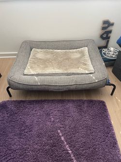 Elevated Dog Bed with Bolster Cushion