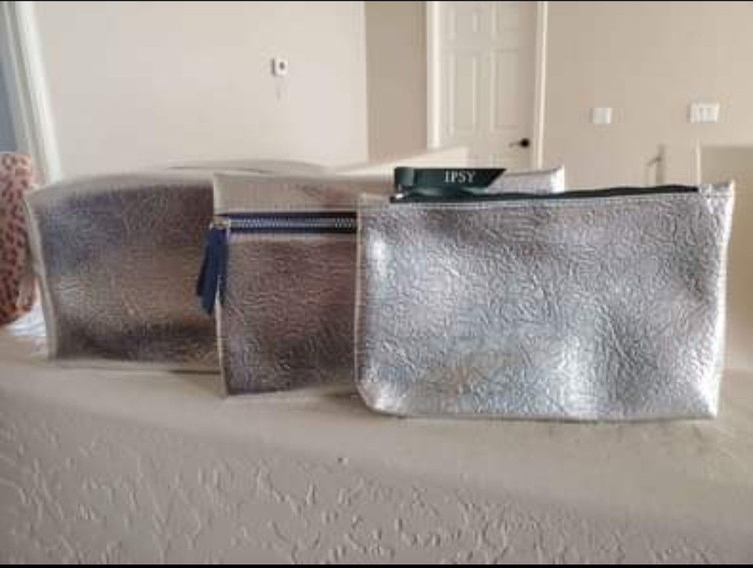 Ipsy Metallic Make Up Bag Set