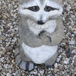 Raccoon Garden Statue. 