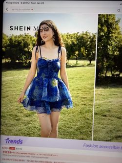 Van Gogh Oil Painting Mini Dress