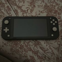 Gray Nintendo switch lite 