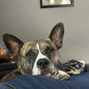 Bill