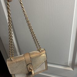 Aldo Gold Bag With Gold Chain