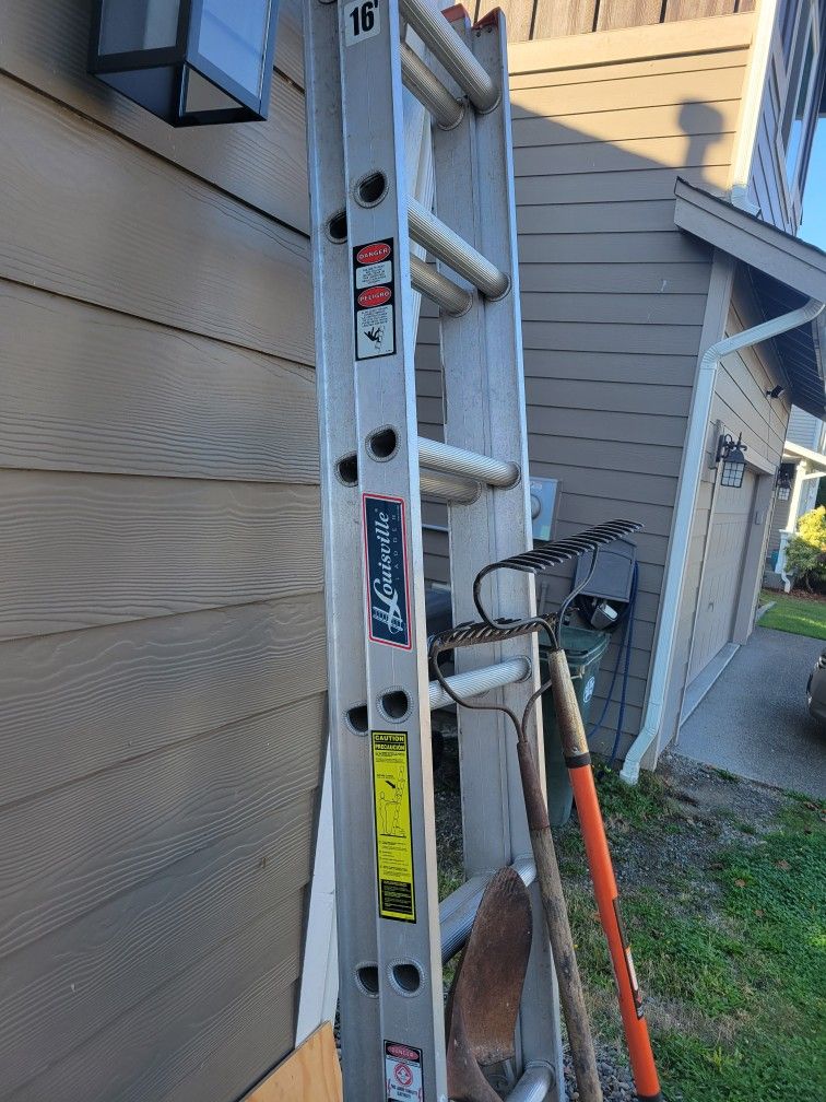 Yard tools and ladder