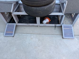 Chicken hutch rabbit small animals