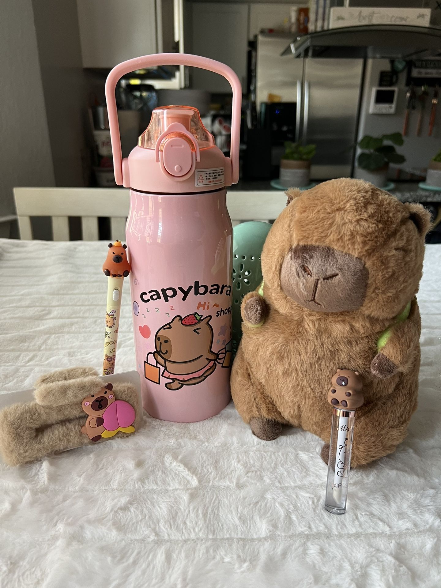 Hello Kitty/Sanrio/Labubu/Capybara/Etc🫧🩷