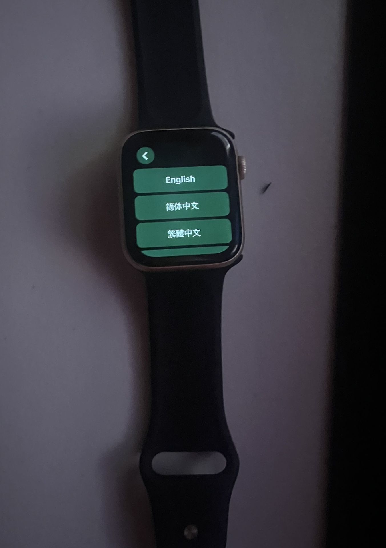 Apple Watch Series 5 44 With Charger 