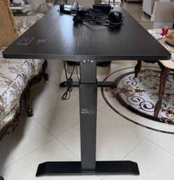48-Inch Electric Height Adjustable Standing Desk with Mini Fan and Ergonomic Mouse, Black