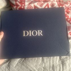 Dior Side Bag 