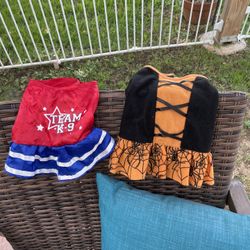 Two (2) Small Pet Halloween Costumes