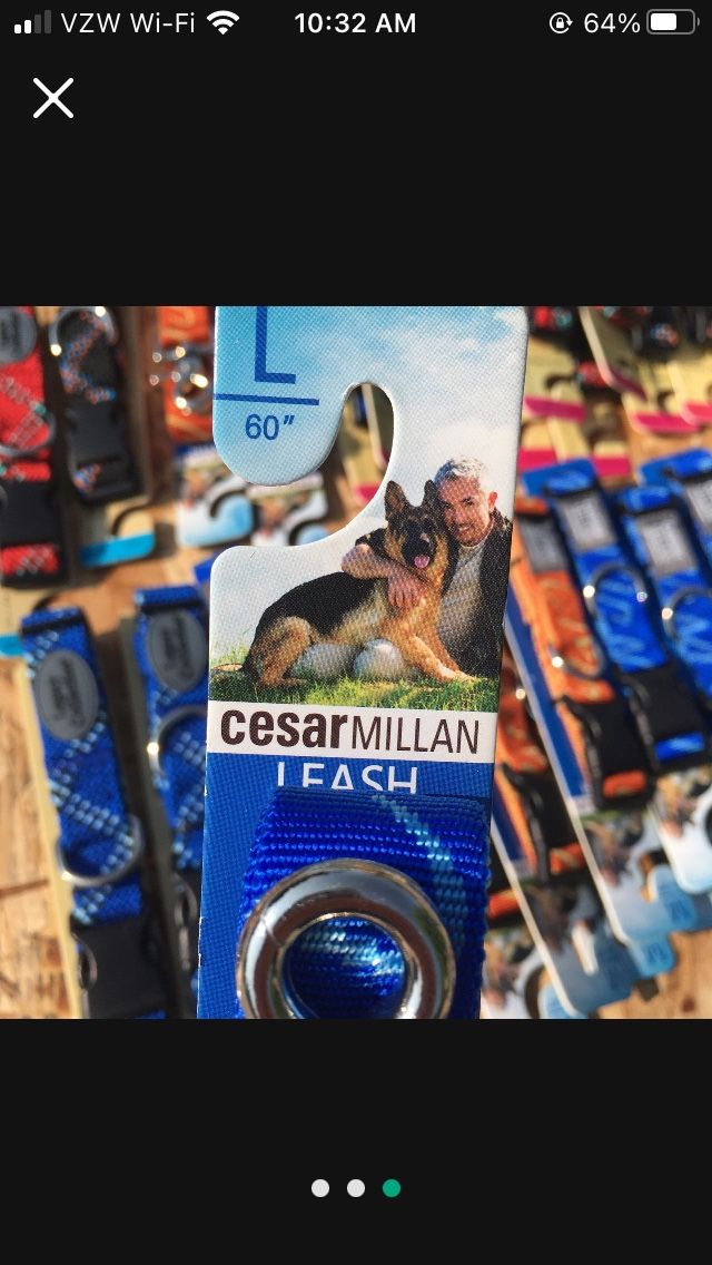 New Pet Collars And Leashes - Dog Cat