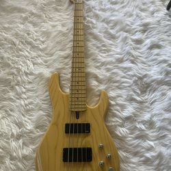 ESP Surveyor 5 String Bass
