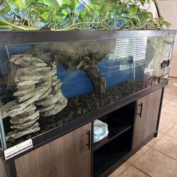 120 Fish Tank