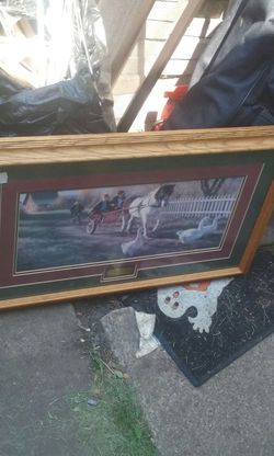 Horse picture