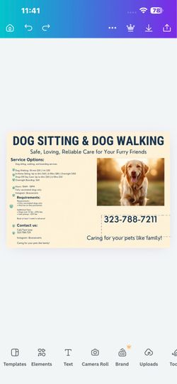 Dog sitting or walking