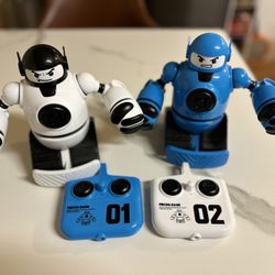 Battle Robbot