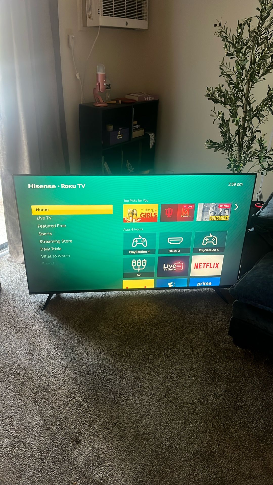 65 Inch Roku Tv 