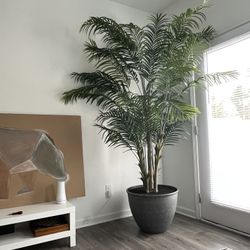 Large Faux Palm Tree
