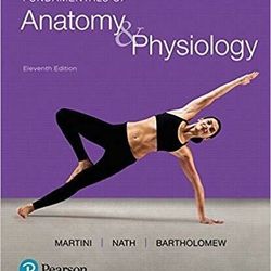 Anantomy & Physiology E Book Verison