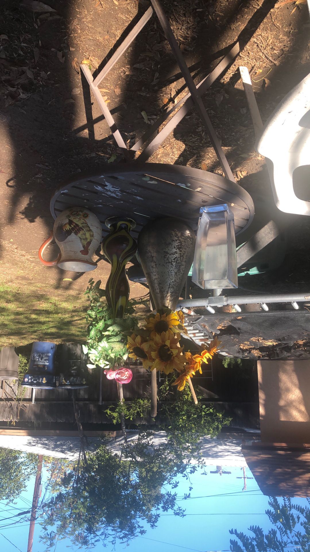 Shopper ALL!!!  Glass Pot With Fake Plants, For $7.00