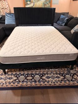 Beautiful queen bed