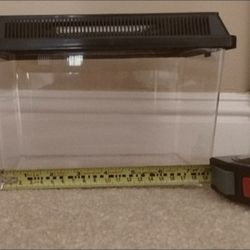 Reptile Cricket Box Medium/small