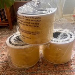 Core 300 Replacement Air Filter 