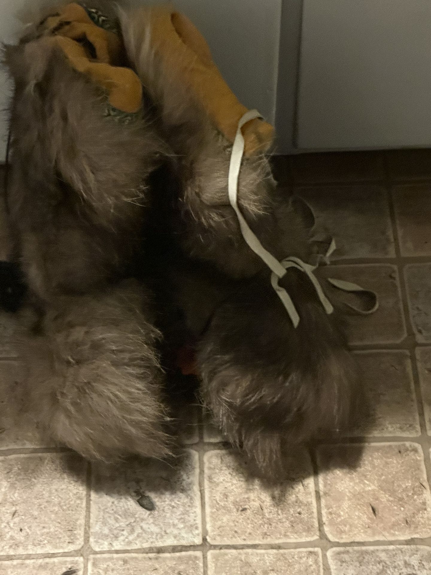Fur Boots