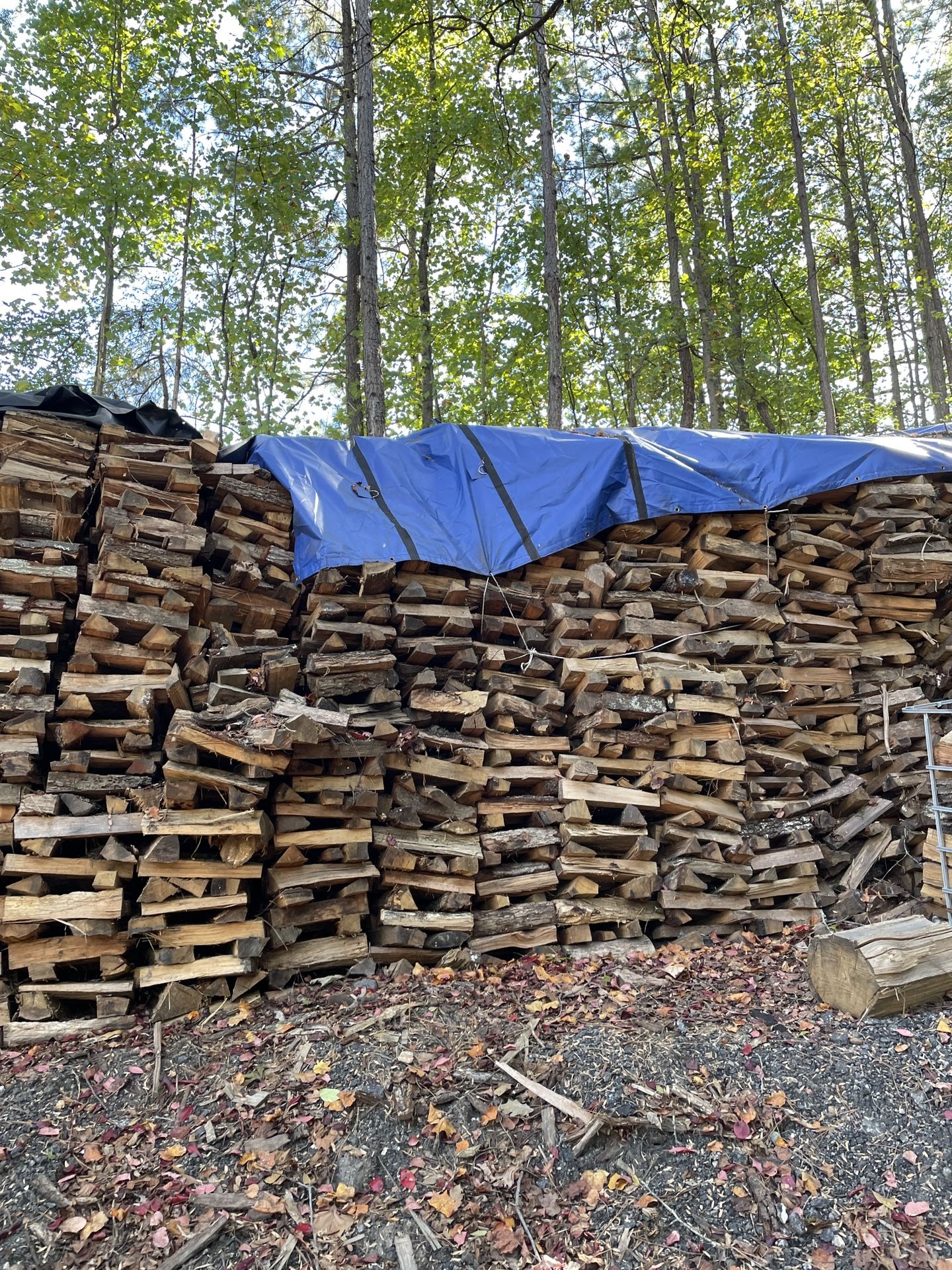 Firewood For Sale SEASONED