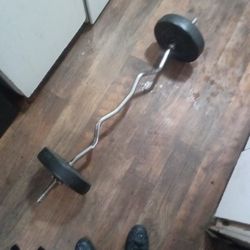 Curl Bar With 2 15 Pound Weights 